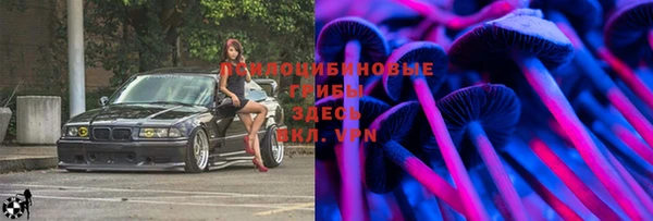 прущая мука Ладушкин