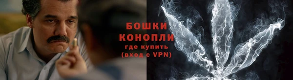 крисы Лагань