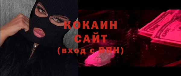 крисы Лагань