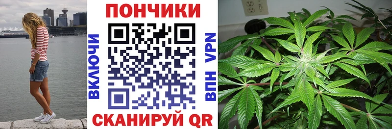 Конопля SATIVA & INDICA  Дыгулыбгей 